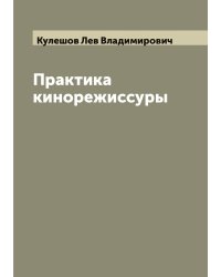 Практика кинорежиссуры