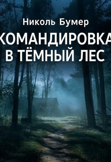 Обложка книги «Командировка в темный лес» — Николь Бумер, ISBN 9785524013361