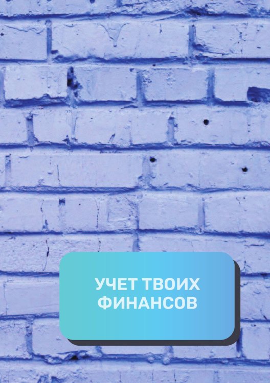 Обложка книги «Учет твоих финансов» — автора нет, ISBN 9785521892327
