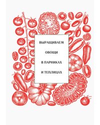 Выращиваем овощи в парниках и теплицах