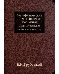 Метафизические предположения познания