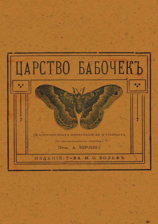 Обложка книги «Царство бабочек» — А. Берлин, ISBN 9785521959792