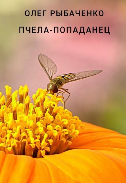 Обложка книги «Пчела-попаданец» — Олег Рыбаченко, ISBN 9785524060464