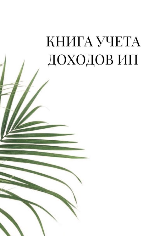 Книга учета доходов для ИП на патенте
