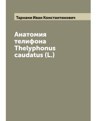 Анатомия телифона Thelyphonus caudatus (L.)