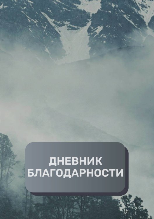 Обложка книги «Дневник благодарности, премиум (подарочное) издание, 200 страниц» — автора нет, ISBN 9785521896554