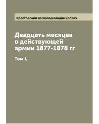 Двадцать месяцев в действующей армии 1877-1878 гг