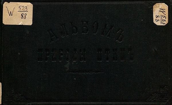 Обложка книги «Альбом природы птиц» — Нет автора, ISBN 9785521969173