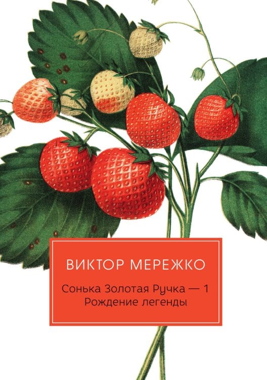 Сонька Золотая Ручка. Рождение легенды Обложка книги «Сонька Золотая Ручка. Рождение легенды» — Виктор Мережко, ISBN 9785517034953