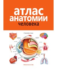 Атлас анатомии человека