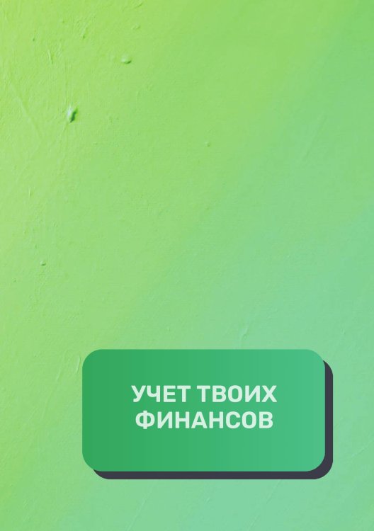 Обложка книги «Учет твоих финансов» — автора нет, ISBN 9785521892457