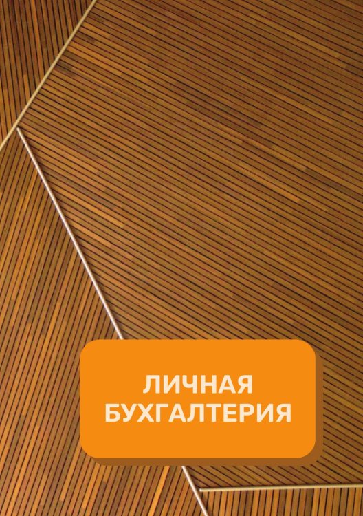 Обложка книги «Личные финансы на год» — автора нет, ISBN 9785521891283