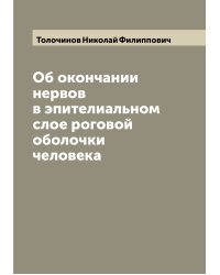 Об окончании нервов в эпителиальном слое роговой оболочки человека