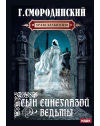 Храм Элементов. Книга 1. Сын синеглазой ведьмы