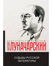 Судьбы русской литературы