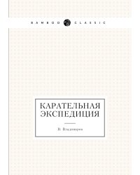 Карательная экспедиция