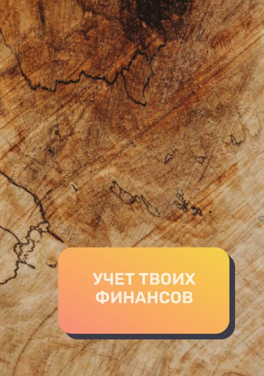 Обложка книги «Учет твоих финансов» — автора нет, ISBN 9785521892433