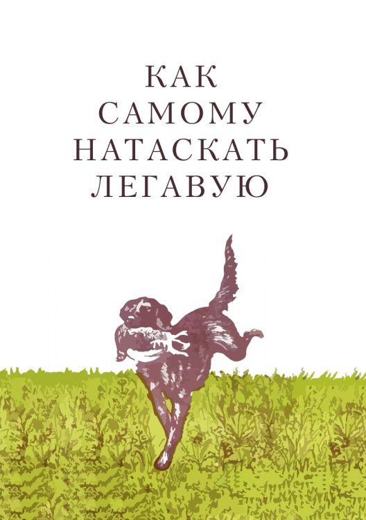 Как самому натаскать легавую