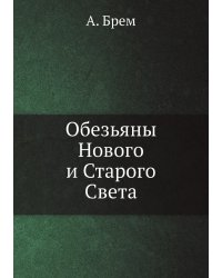 Обезьяны Нового и Старого Света