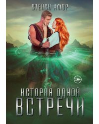 История одной встречи