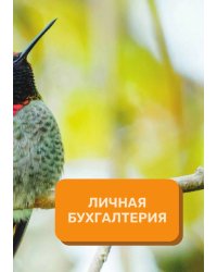 Личная бухгалтерия на год