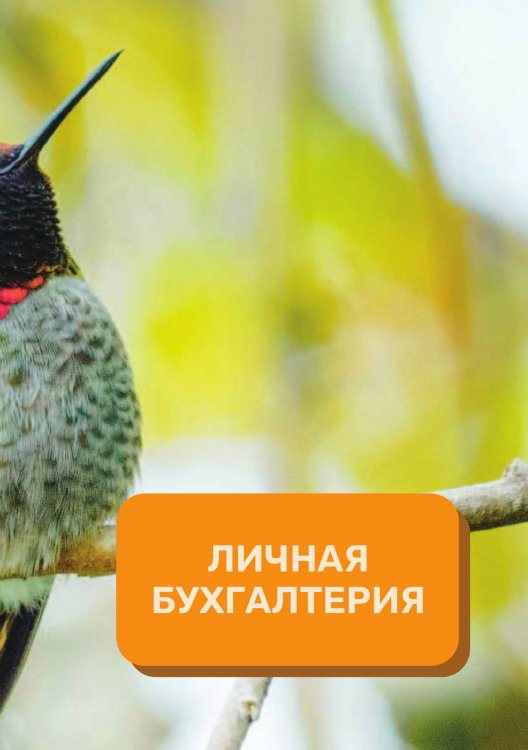 Обложка книги «Личная бухгалтерия на год» — автора нет, ISBN 9785521891177