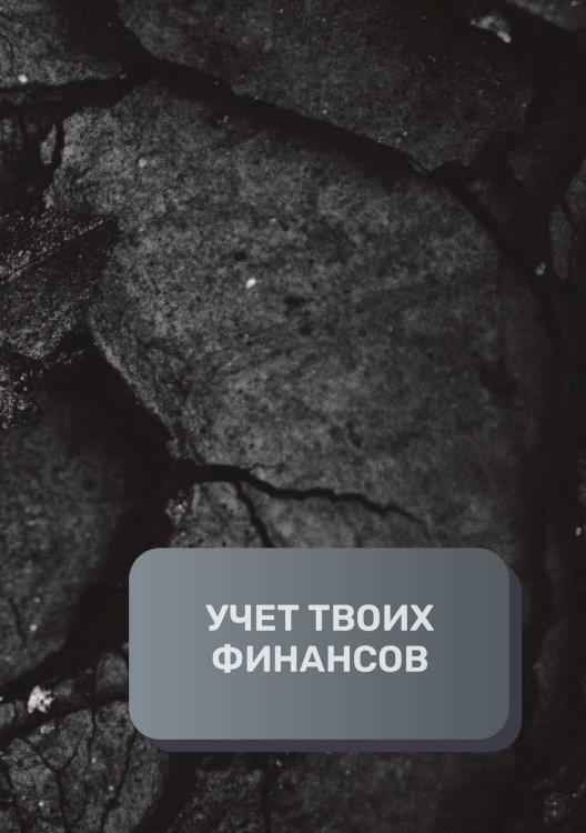 Обложка книги «Учет твоих финансов» — автора нет, ISBN 9785521892297