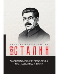 Экономические проблемы социализма в СССР