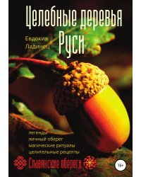 Целебные деревья Руси
