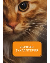 Личная бухгалтерия на год