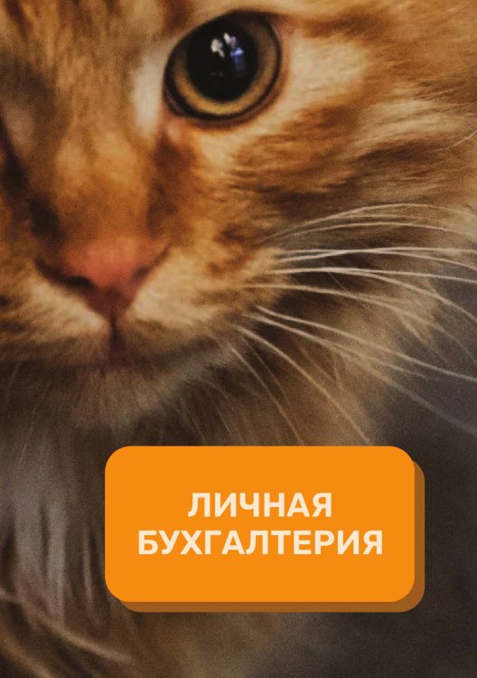 Обложка книги «Личная бухгалтерия на год» — автора нет, ISBN 9785521891184