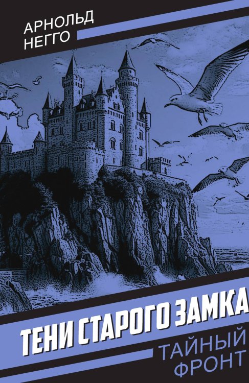 Обложка книги «Тени старого замка» — Негго А.Г., ISBN 9785002690985