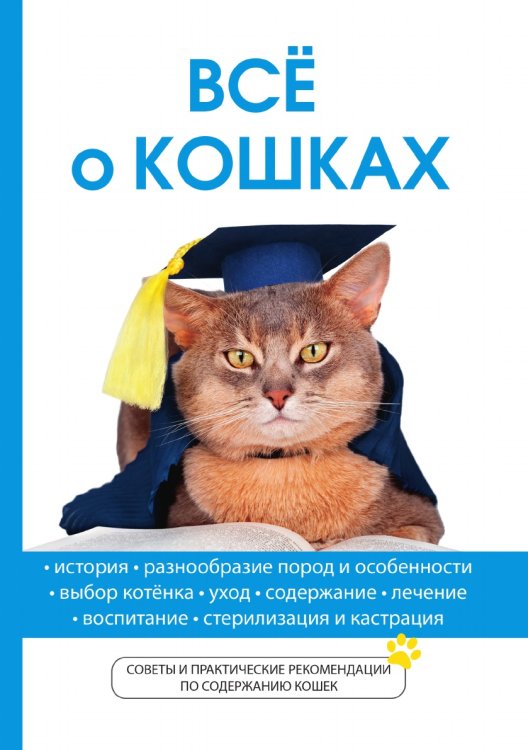 Все о кошках