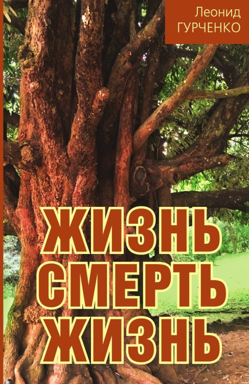 Обложка книги «Жизнь-смерть-жизнь» — Гурченко Леонид Александрович, ISBN 9785907255586