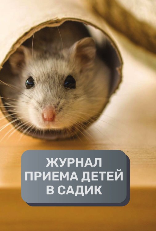 Обложка книги «Журнал приема детей в детский садик, 500 страниц, преимум (подарочное) издание» — автора нет, ISBN 9785521895731