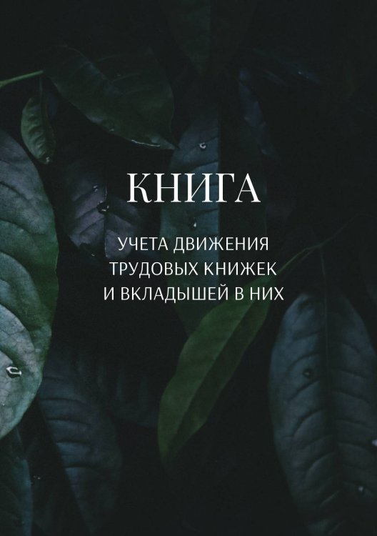 Обложка книги «Книга учета трудовых книжек и вкладыщей к ним» — автора нет, ISBN 9785521887361