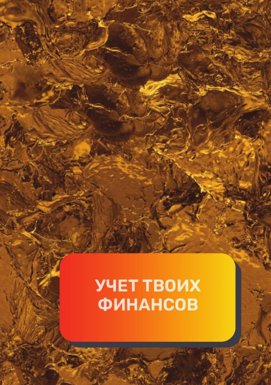 Обложка книги «Учет твоих финансов» — автора нет, ISBN 9785521892211