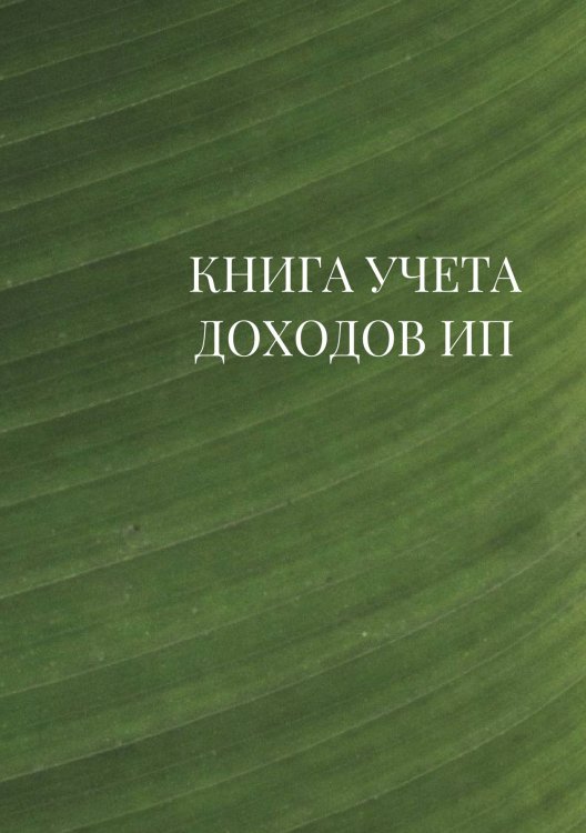 Книга учета доходов для ИП на патенте