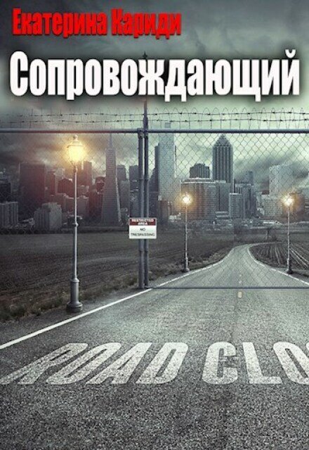 Обложка книги «Сопровождающий» — Екатерина Кариди, ISBN 9785524039040