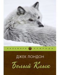Белый клык