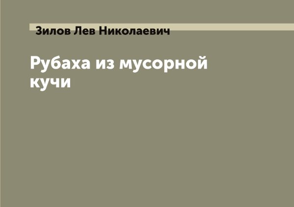 Обложка книги «Рубаха из мусорной кучи» — Зилов Лев Николаевич, ISBN 9785519862011