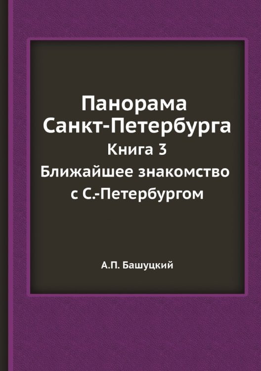 Панорама Санкт-Петербурга. Книга 3: Ближайшее знакомство с С.-Петербургом