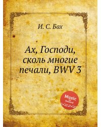 Ах, Господи, сколь многие печали, BWV 3