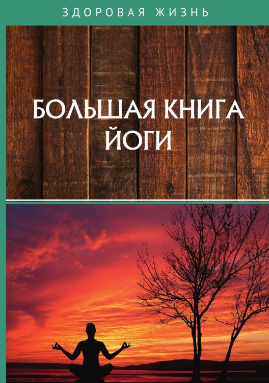 Обложка книги «Большая книга йоги» — Не указан, ISBN 9785517024381