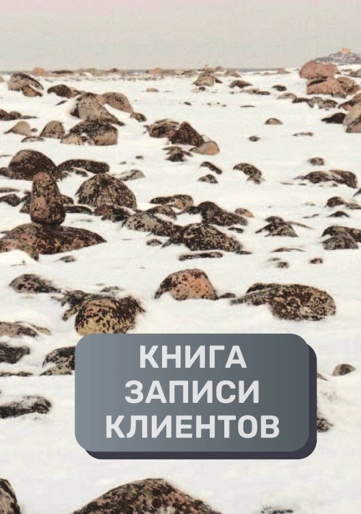 Обложка книги «Книга записи клиентов» — автора нет, ISBN 9785521894307