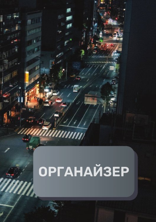 Обложка книги «Деловой органайзер» — автора нет, ISBN 9785521893904