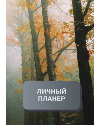 Линчый планер (современный)