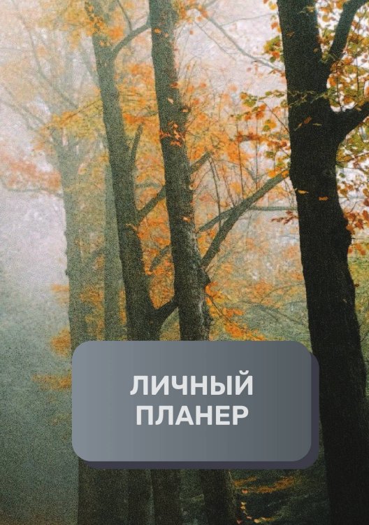 Обложка книги «Линчый планер (современный)» — автора нет, ISBN 9785521894642