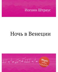 Ночь в Венеции