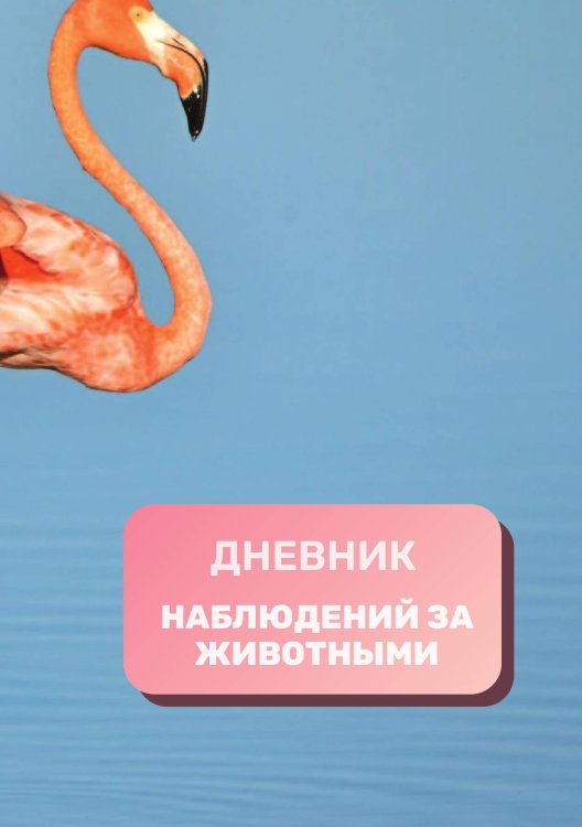 Обложка книги «Дневник наблюдения за животными, универсальный» — автора нет, ISBN 9785521890408